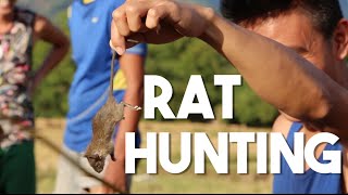 Rat Hunting in the Philippines Tasting Rats in Pangasinan [upl. by Granger]