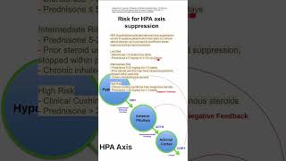 Understanding Prednisone Allergic Reactions Symptoms Treatments and Side Effects [upl. by Correna423]