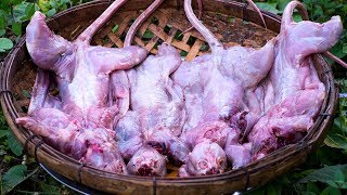 Cook Rats Meat Recipe Spicy Rat Food in Village by Kitchen Foods [upl. by Haisoj]