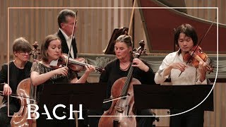 Bach  Concerto for two violins in D minor BWV 1043  Sato and Deans  Netherlands Bach Society [upl. by Leibman]