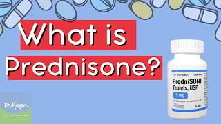 What is Prednisone [upl. by Dowzall299]