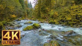 Beautiful Nature Video in 4K Ultra HD  Autumn River Sounds  5 Hours Long [upl. by Eecats]