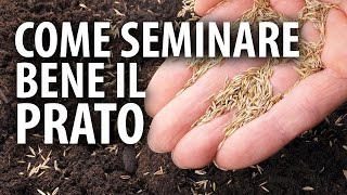 Come Seminare Bene il Prato [upl. by Tiffy]