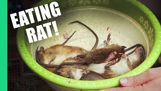 Eating Rat in Vietnam [upl. by Sonaj698]