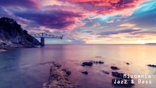 Jazz amp Bass  Liquid Drum amp Bass Mix 2013 [upl. by Fanning]