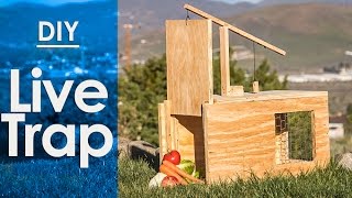 Live Trap How to make a  simple DIY [upl. by Thackeray961]