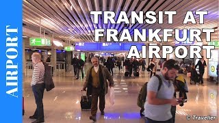 TRANSIT WALK AT FRANKFURT Airport FRA Terminal 1  Connection Flight Transfer Arriving amp Departing [upl. by Starkey392]